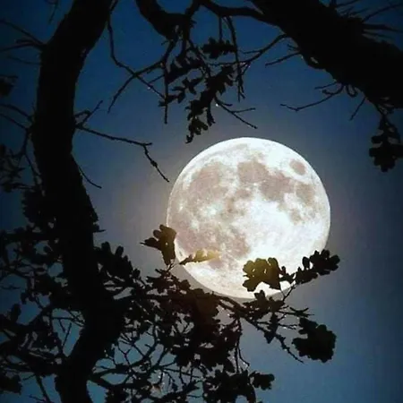 Remig Ranch Cir 0001 Дом отдыха Challand Saint Victor