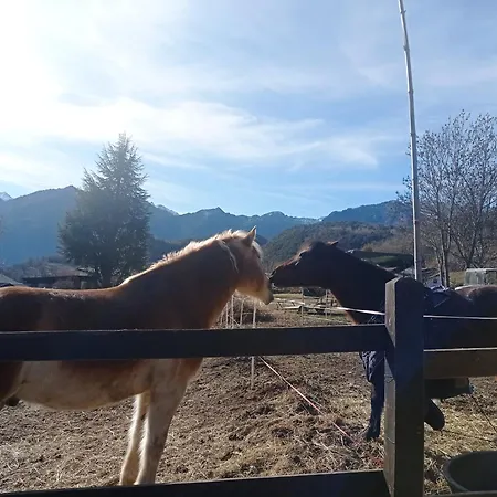 Remig Ranch Cir 0001 * Challand Saint Victor