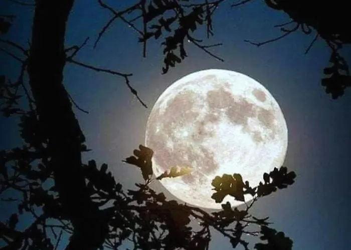 Remig Ranch Cir 0001 Holiday home Challand Saint Victor