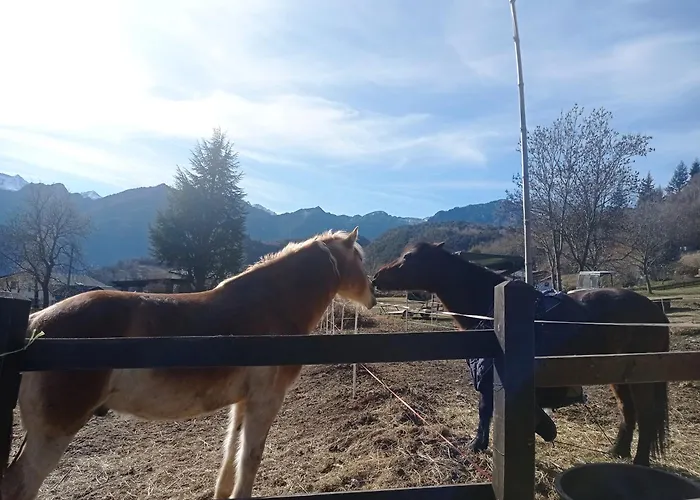 Remig Ranch Cir 0001 * Challand Saint Victor